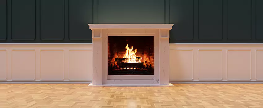 Napoleon Electric Fireplaces Inspection Service in Hopewell, Virginia