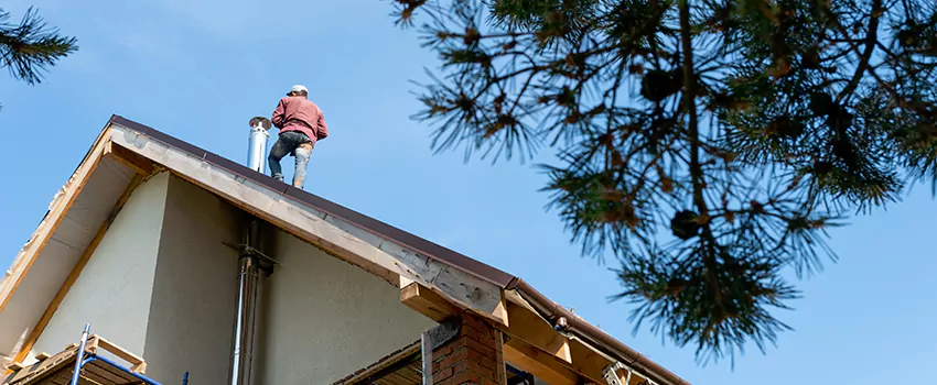 Birds Removal Contractors from Chimney in Hopewell, VA